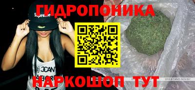 сатива Гусиноозёрск