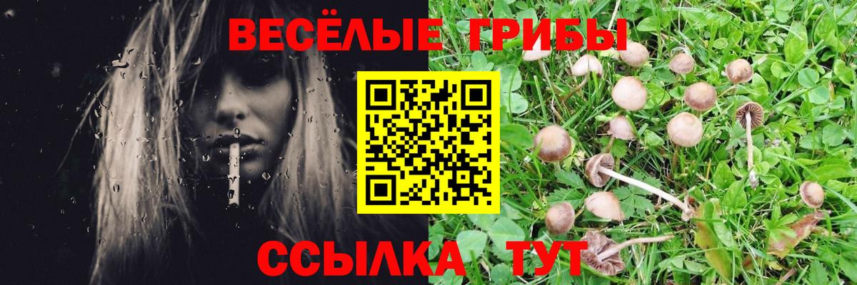 Галлюциногенные грибы прущие грибы Железноводск