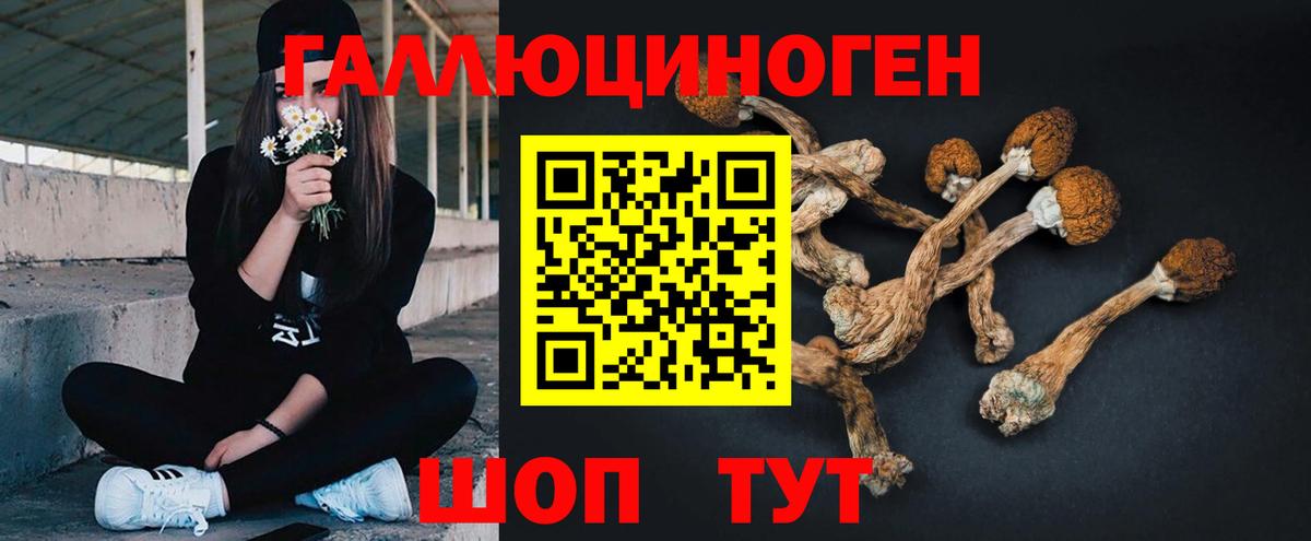закладки  Псилоцибиновые грибы мицелий  Псилоцибиновые грибы GOLDEN TEACHER  Вход с VPN  Железноводск 
